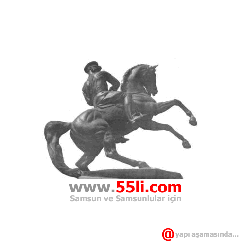 55li.com, yapi asamasinda